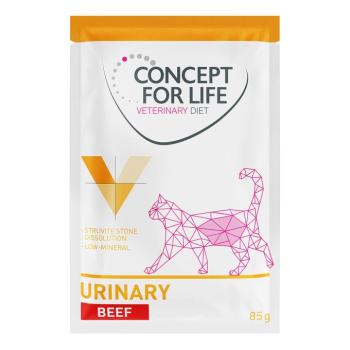 24x85g Concept for Life Veterinary Diet Urinary marha nedves macskatáp kép