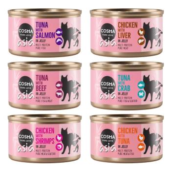 24x85g Cosma Thai/Asia aszpikban nedves macskatáp- Vegyes csomag (6 változattal) kép