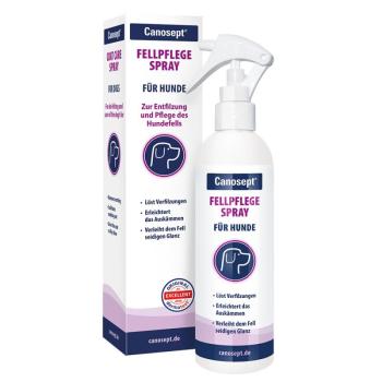 250ml Canosept® szőrápoló spray kutyáknak kép