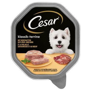 28x150g Cesar  Klasszikusok: Terrine szárnyas & marha nedves kutyatáp kép