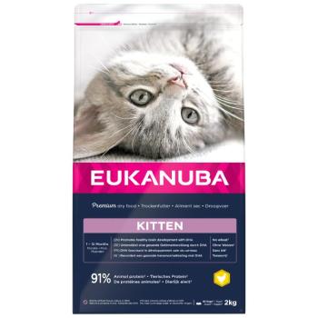 2kg Eukanuba Healthy Start Kitten száraz macskatáp kép