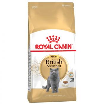 2kg Royal Canin British Shorthair Adult száraz macskatáp kép
