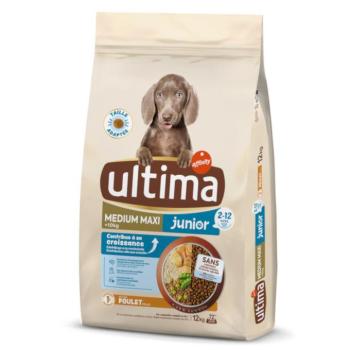 2x12kg Ultima Medium / Maxi Junior csirke száraz kutyatáp kép
