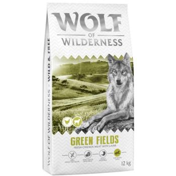 2x12kg Wolf of Wilderness Senior 'Green Fields' bárány - gabonamentes száraz kutyatáp kép