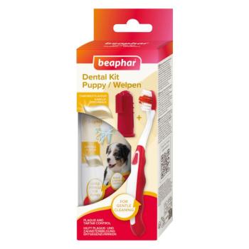 2xbeaphar fogápoló készlet kölyökkutyáknak: Fogkefe + ujjra húzható fogkefe + kölyök-fogkrém kép