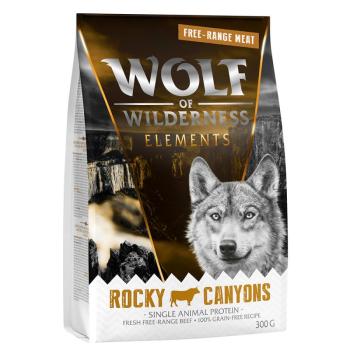 300g Wolf of Wilderness "Rocky Canyons" - szabadtartású marha, gabonamentes száraz kutyatáp kép