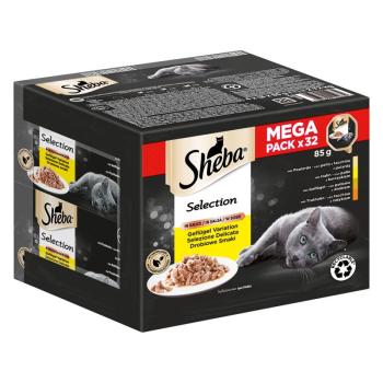 32x 85g Sheba variációk tálcás multipack Selection szószban nedves macskatáp kép