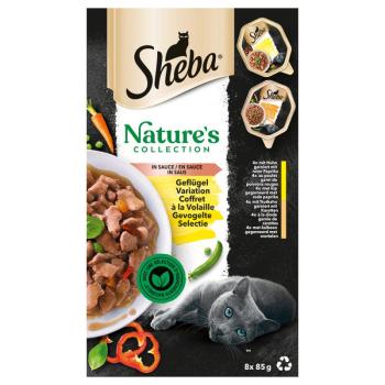 32x85g Sheba Nature's Collection szószban Szárnyasvariációk nedves macskatáp kép