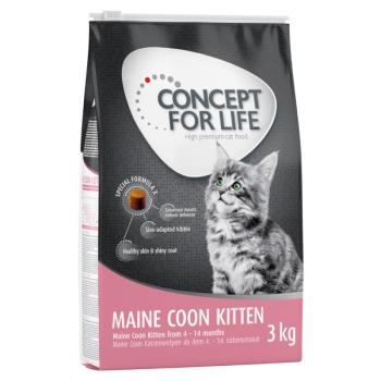 3kg Concept for Life Maine Coon Kitten - javított receptúrájú száraz macskatáp kép