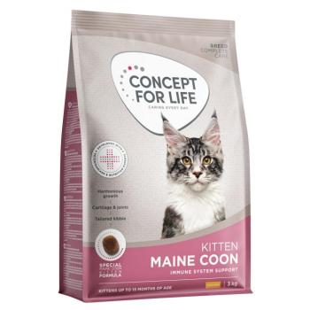 3kg Maine Coon Kitten Concept for Life száraz macskatáp javított receptúrával kép