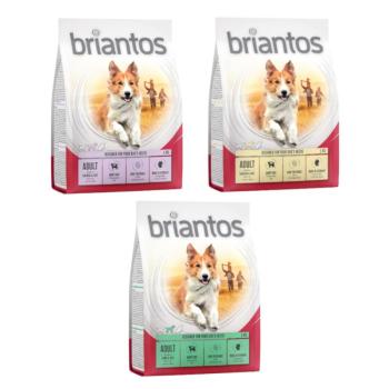 3x1kg Briantos Adult száraz kutyatáp vegyes próbacsomag (csirke, bárány. lazac) kép