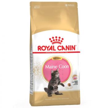 4 kg Royal Canin Maine Coon Kitten kép