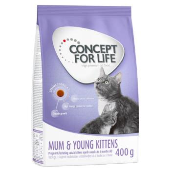 400g Concept for Life Mum & Young Kittens száraz kölyökmacskatáp kép