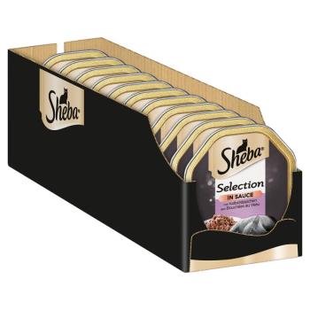 44x85g Sheba Classics tálcás nedves macskatáp- Borjúfalatok szószban kép