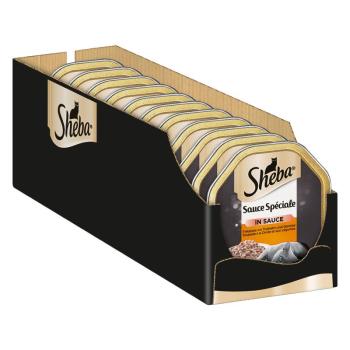 44x85g Sheba tálcás megapack Classics- Frikassee pulyka & zöldség nedves macskatáp kép