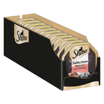 44x85g Sheba tálcás megapack Classics - Marhafalatok szószban nedves macskatáp kép