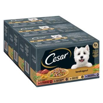 48x150g Cesar Country Kitchen Favourites nedves macskatáp vegyes csomag kép