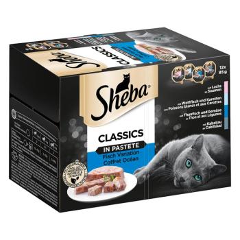 48x85g Sheba Classics pástétomban tálcás nedves macskatáp kép