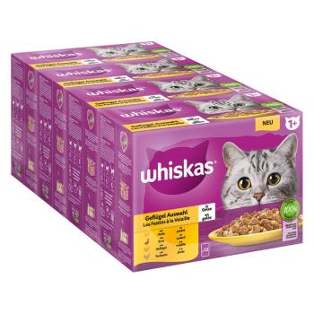 48x85g Whiskas 1+ frissentartó tasakban nedves macskatáp-szárnyasválogatás aszpikban kép