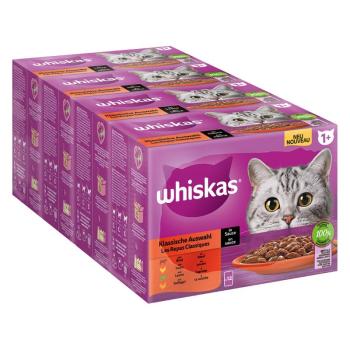 48x85g Whiskas 1+  klasszikus válogatás szószban nedves macskatáp kép