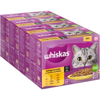 48x85g Whiskas 7+ Senior szárnyasválogatás szószban nedves macskatáp kép