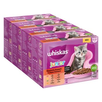 48x85g Whiskas Junior klasszikus válogatás szószban nedves macskatáp kép