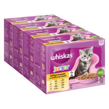 48x85g Whiskas Junior szárnyasválogatás aszpikban nedves macskatáp kép