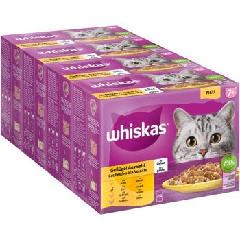 48x85g Whiskas Senior 7+ szárnyasválogatás aszpikban nedves macskatáp kép