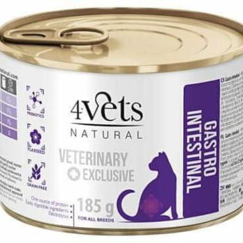 4Vets NATURAL Gastro Intestinal Veterinary 185 g kép