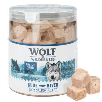 4x70g Wolf of Wilderness RAW lazac fagyasztva szárított kutyasnack kép