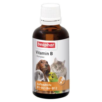 50ml beaphar B-vitamin-komplex kutyáknak, macskáknak, kisállatoknak, madaraknak kép