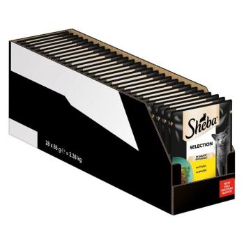 56x 85g Sheba Selection szószban csirke nedves macskatáp kép