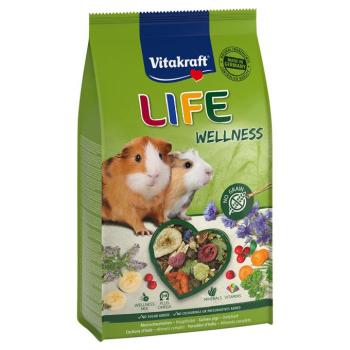 5x600g Vitakraft Life Wellness tengerimalaceledel kép