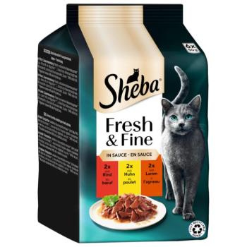 6x50g Sheba Fresh & Fine marha, csirke & bárány szószban nedves macskatáp kép