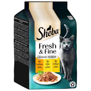 6x50g Sheba Fresh & Fine pulyka, csirke & szárnyas aszpikban nedves macskatáp kép