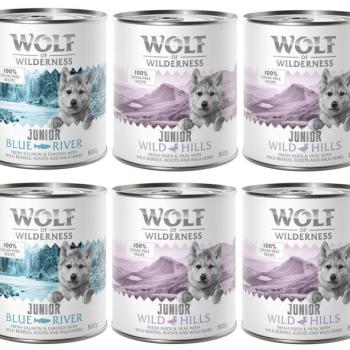 6x800g Wolf of Wilderness JUNIOR - Vegyes csomag nedves kutyatáp kép