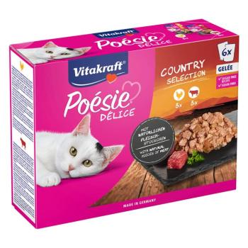 6x85g Vitakraft Poésie DéliSauce tasakos nedvestáp-mix: Country selection kép