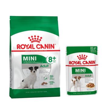 8kg Royal Canin Mini Adult 8+ száraz kutyatáp+12x85g nedvestáp ingyen! kép