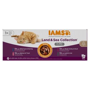 96x85g IAMS Advanced Nutrition Adult Land & Sea Mix aszpikban nedves macskatáp kép