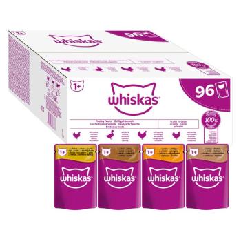 96x85g Whiskas Adult 1+ szárnyasválogatás aszpikban nedves macskatáp kép