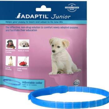 ADAPTIL Junior nyakörv kutyáknak kép