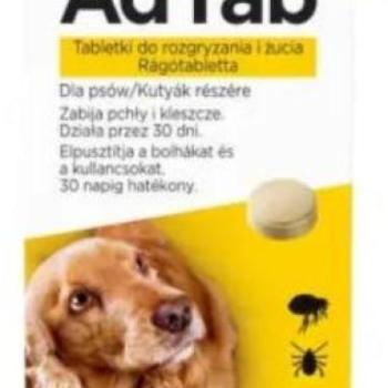 AdTab Rágótabletta kutyáknak 11-22 kg 450 mg kép