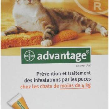 Advantage 40 Spot On 4 kg alatti 0,4 ml kép