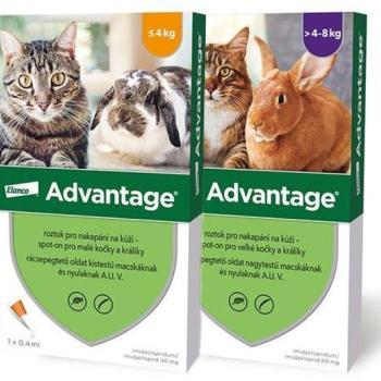 Advantage 80 Spot On 4 kg feletti 0,8 ml 4 db kép