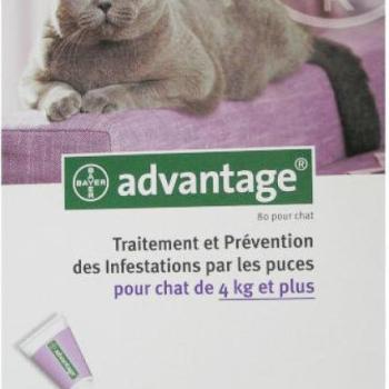 Advantage Spot On 4 kg feletti 0,8 ml kép