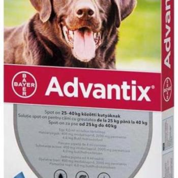 Advantix Spot On 25-40 kg 4 ml kép