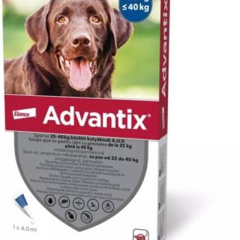Advantix Spot On 25-40 kg 4x4 ml kép