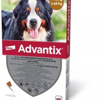Advantix Spot On 40-60 kg 4x6 ml kép