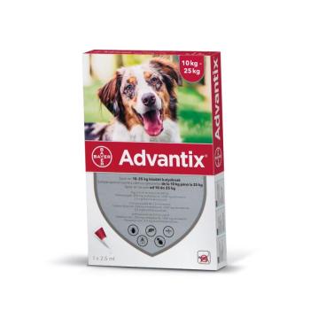 Advantix Spot On oldat kutyáknak A.U.V. 10-25 kg közötti kutyáknak (1 x 2,5 ml) kép