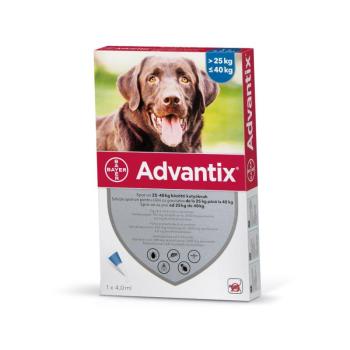 Advantix Spot On oldat kutyáknak A.U.V. 25 kg feletti kutyáknak (1 x 4,0 ml) kép